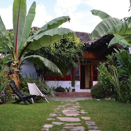 Casa Jardin La Reserva Bed And Breakfast San Cristóbal de Las Casas Buitenkant foto